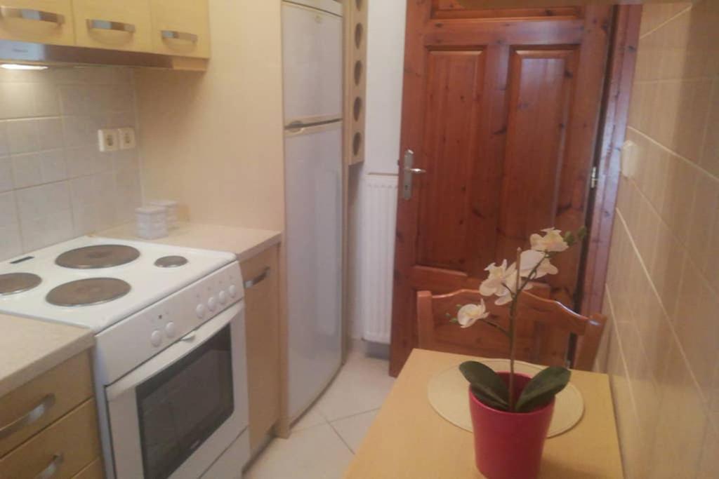 Vaso House Apartman Szkiáthosz Kültér fotó